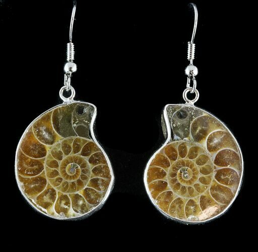 Fossil Ammonite Earrings - Million Years Old #48841